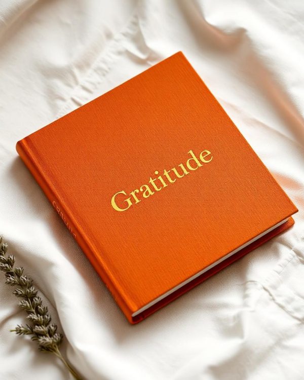 The Gratitude Journal